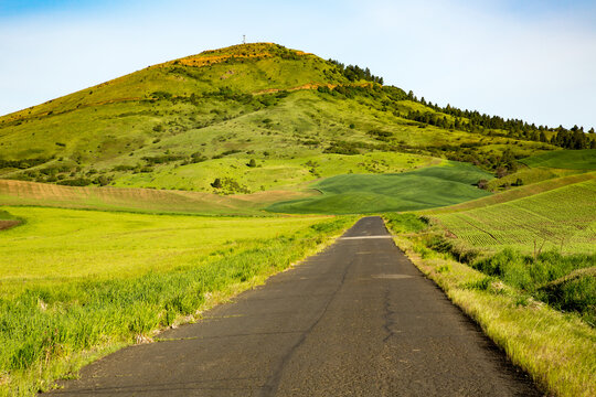 Steptoe butte and a paved road leading to it, the palouse country in eastern washington.