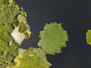Danube Delta in Somova village, Dobrogea region,  Romania. Aerial view.