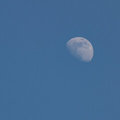 Full moon in the night sky, Great super moon in sky