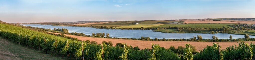Fototapeta na wymiar Panoramaaufnahme des Süßen See mit Weinberg und Landwirtschaft in der Umgebung