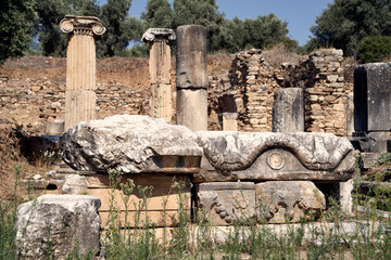 ruins of agora of nysa on the meander ancient city