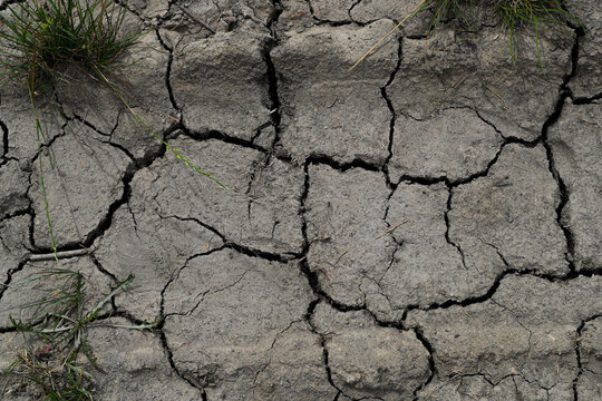 Langer 이미지 찾아보기 2,366 스톡 사진, 벡터 및 비디오 Adobe Stock