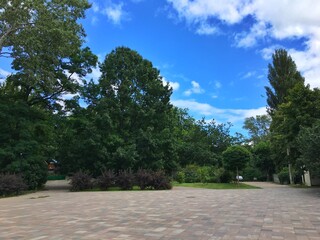 path in the park