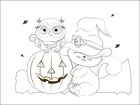 black Halloween cat in hat and owl on pumpkin coloring book