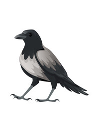 Predatory bird adult black and gray crow cartoon animal design birds of prey character flat vector illustration isolated on white background