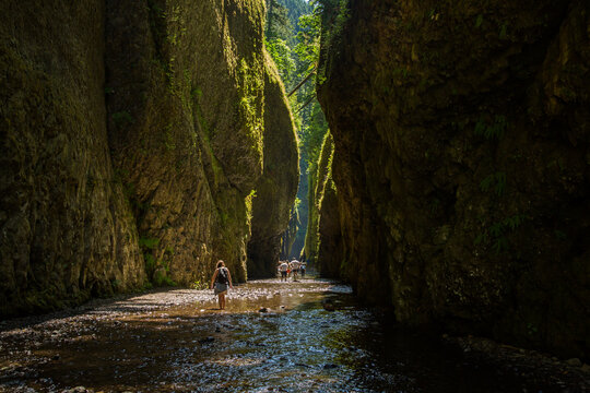 Day hikers in Oneonta Gorge, Columbia River Gorge National Scenic Area, Oregon