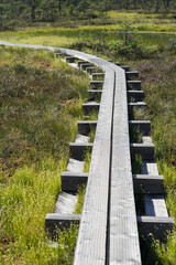Wide wooden walking path over the hollows, ponds and lakes in Kakerdaja raised bog (Estonia, Europe). Construction to protect vulnerable environment. Emerald green meadow and evergreen  pine forest.