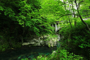 岩手県住田町　夏の葉山のめがね橋