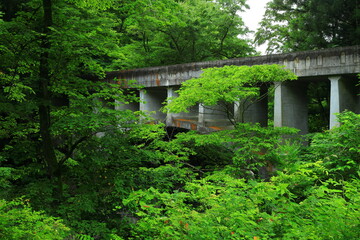 岩手県住田町　夏の葉山のめがね橋