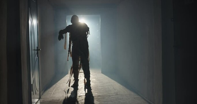 Scary Egyptian mummy creeping down hallway in abandoned cursed house. Creepy ancient zombie walking with clumsy moves - halloween costume 4k footage
