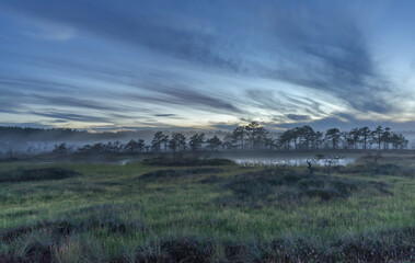 Blue grey light in wetland landscape after sundown. Kakerdaja Raised bog in Estonia. Sunset glow over marsh hollows.  Night fog covering bog lakes. Interesting clouds in the skies.
