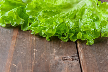 grown in the garden fresh crispy lettuce on a wooden table close up