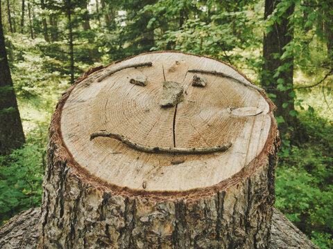 A smile made of sticks and rocks on top of a wood stump.  A happy face made out of forest materials on top of a freshly cut tree stump.