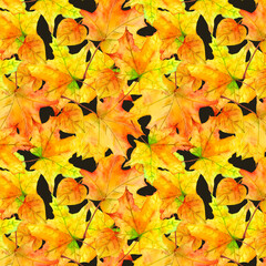 Watercolor seamless pattern on a black background yellow and orange autumn leaves, maple leaves