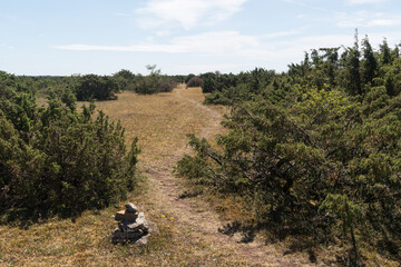 Stone cairn by a trail in a landscape with junipers