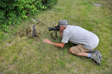 Senior photographer in action