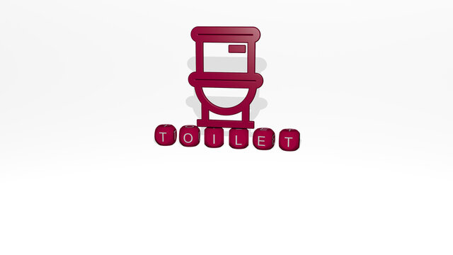 3D representation of TOILET with icon on the wall and text arranged by metallic cubic letters on a mirror floor for concept meaning and slideshow presentation. bathroom and illustration