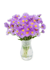 Bouquet of flowers asters alpine perennial pink in vase isolated on white background. Floral pattern, object. Flat lay, top view. Still life