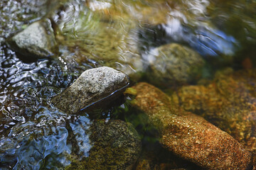 Clear mountain water with stones and reflections. Selective approach