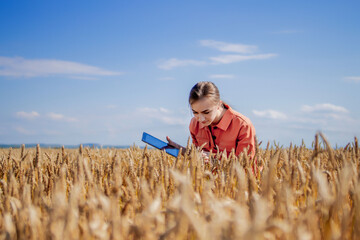 Woman caucasian technologist agronomist with tablet computer in the field of wheat checking quality and growth of crops for agriculture. Agriculture and harvesting concept.