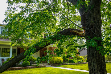 A broken tree limb separated from the trunk hangs down over a green lawn in front of a house after a severe storm
