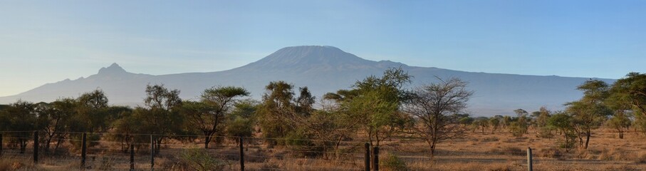 Kilimanjaro