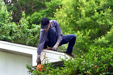 Fototapeta premium Dangerous Job Trimming From Rooftop