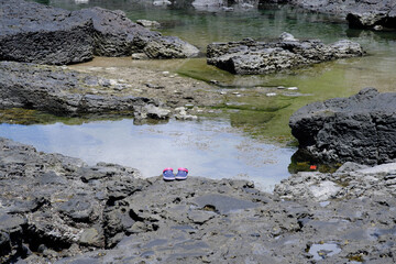 磯の岩に置かれたサンダル