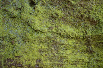 Rock covered with sulfur