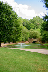 Obraz premium lake in the park