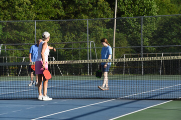 Learning Rules to Pickle Ball