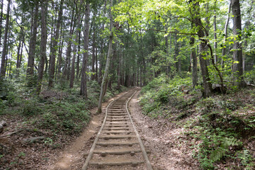 Fototapeta premium 多峯主山道中