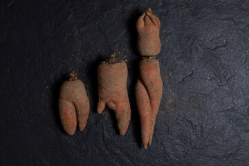 Dirty ugly carrot on a dark textured stone background. Vegetables of a strange and unusual shape