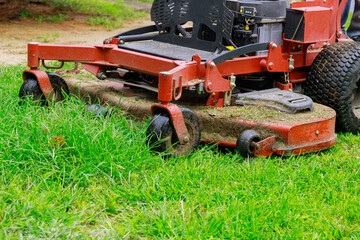 Man worker cutting grass in summer with a lawn mower