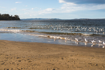 Fototapeta na wymiar Blackmans Bay beach on a sunny winter day in South Hobart in Tasmania