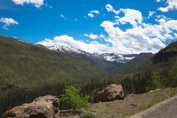 The green forests and mountain views of the east entrance road of Yellowstone National Park, Wyoming, USA