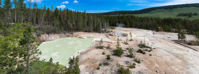 Sulfur Caldron area and Turbulent Pool, Mud Volcano area of Yellowstone National Park, Wyoming, USA