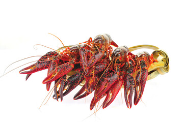 Lobster on a white background