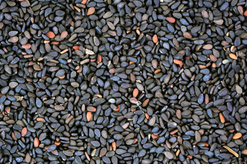 Black sesame seeds on a white background