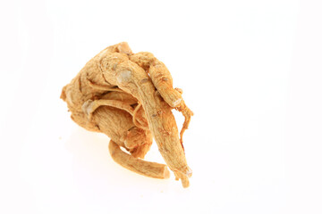 Ginseng on a white background