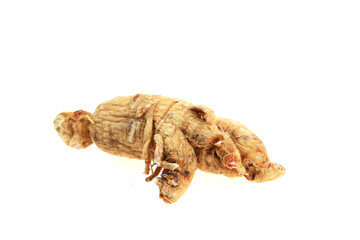 Ginseng on a white background
