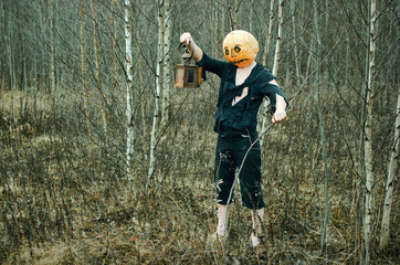 Halloween Scarecrow with a pumpkin on his head and a lantern in his hands wanders through the woods on the eve of all saints day