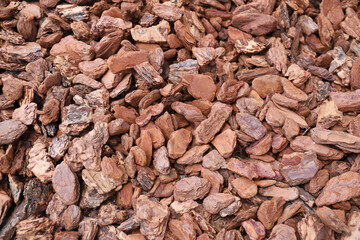 バークチップ　素材