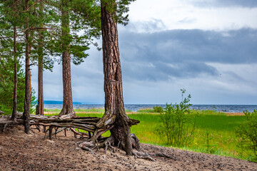 Coast of Onega lake, Medvezhyegorsk, Karelia, Russia