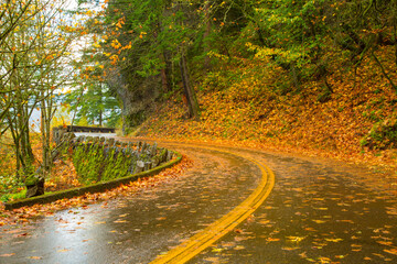 Fototapeta premium The old Columbia River Gorge highway, Columbia River Gorge National Scenic Area, Oregon