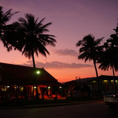 ラオスの世界遺産の町、ルアンパバーンの夕日とヤシの木の風景