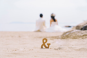 結婚式 wedding はなよめ お見合い イニシャル カップル