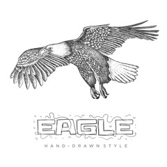 Flying eagle vector. hand drawn animal illustrations