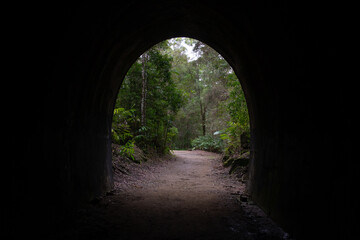 Fototapeta na wymiar Tunnel in the forest