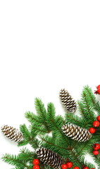 Christmas background isolated top view, copy space on white backdrop. Xmas  fir branches, red berries and cones frame. flat lay